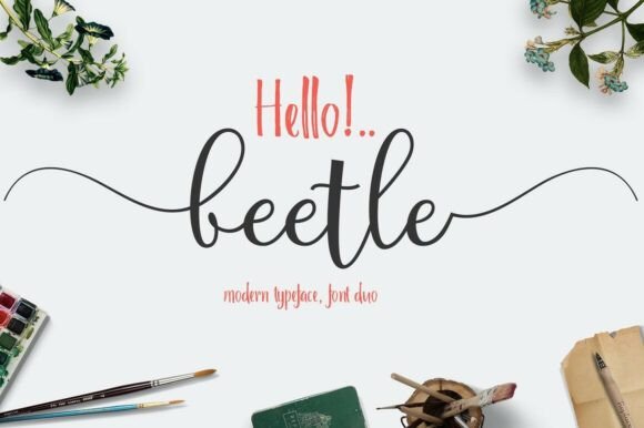 Beetle Duo Font: Whimsical Typography for Brands
