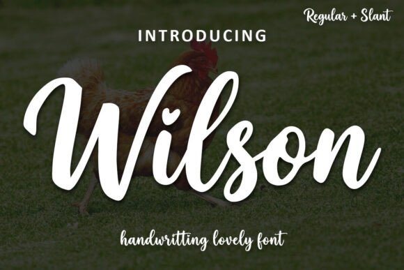Wilson: A Premium Script Handwritten Font Review
